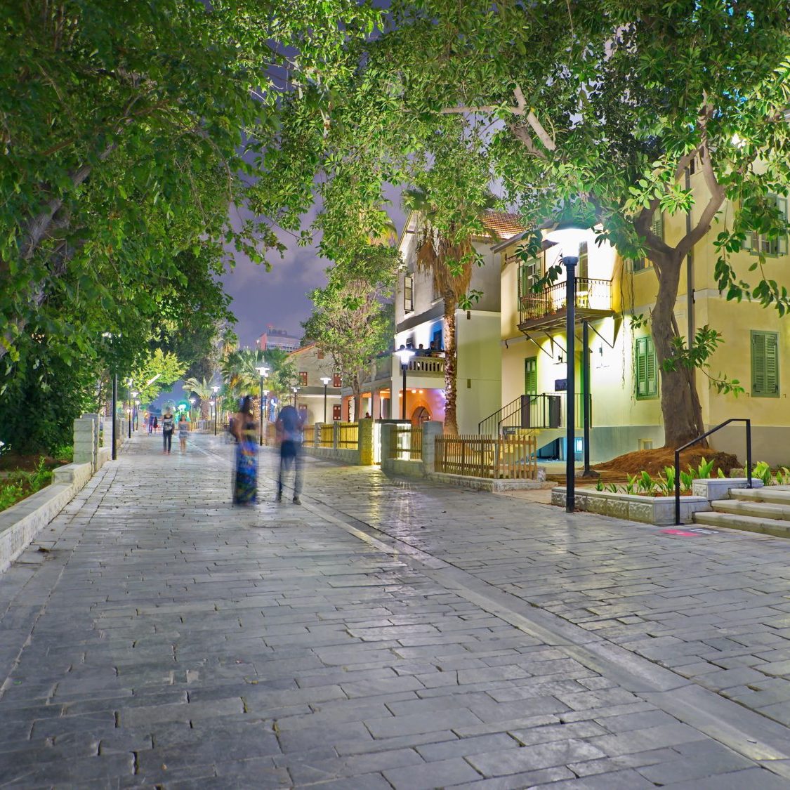 Avenue with trees and lights